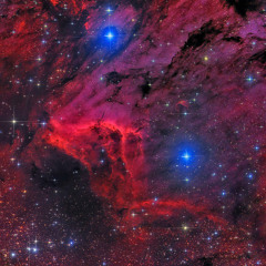 Sangre y estrellas