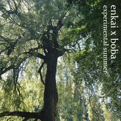 fire in the sky (prod. enkai)