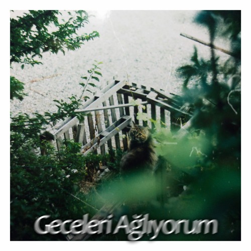 Sadece Geceleri Değilmiş