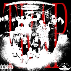 NORTH VIOLENCE - T.R.A.P