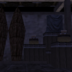 Oceanside Spiderhouse