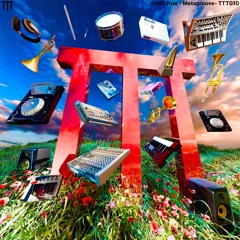 Trust True - Metagroove - TTT010