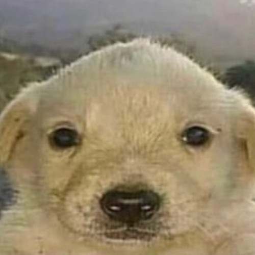 in case of capture untitled scratch track