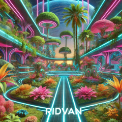 Ridvan (Original Mix)