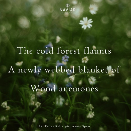 webbed (naviarhaiku490)