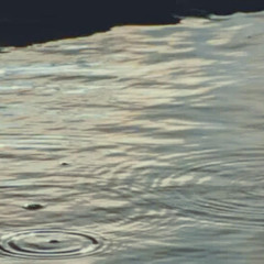 PUDDLES