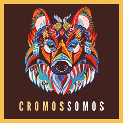 Cromossomos