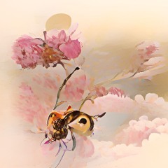 Would U B My Honey (prod. XVN)