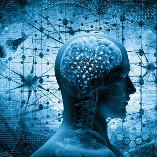 Focus & Concentration