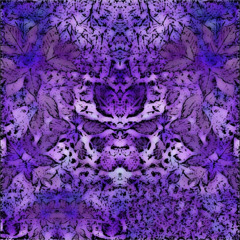 Ꮠ༾  Ԇζsqualoloogogᖏ༘ __ ᖓႅᔑᖏ __ ᏐᎹ༾
