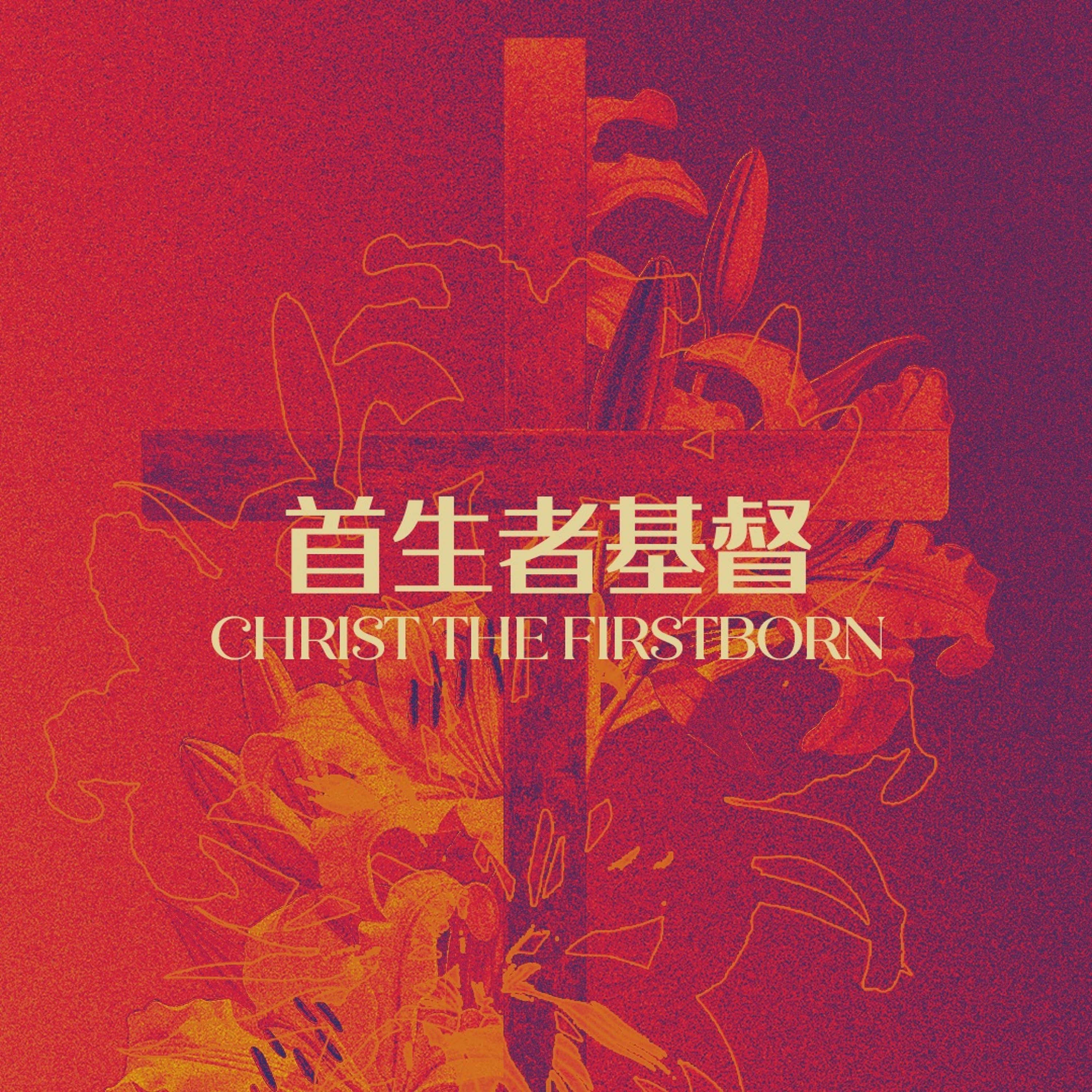 03/31/2024 【特别信息】首生者基督（西 1:15-23）—— 王唯权 牧师 episode artwork