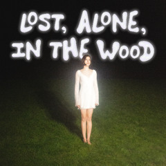 don't trust the witch