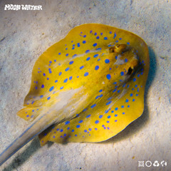 Ready To Fall Again ft. ALYSS