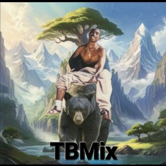 2Pac~Rearview~SO Many Tears~Lynyrd Skynyrd Sweet Home Alabama Piano~TBMix.mp3