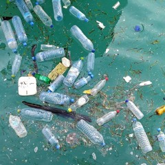 Our Plastic Future