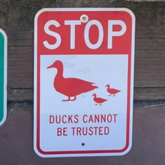 Live at Duck Pond - Tuesday Animal Control takeover, Burning Man 2024