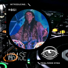 Introducing... Guest Mix #061 ViBase