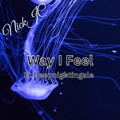 NickJC Way I Feel Ft Deepnightingale
