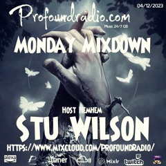 #64 Profound Radio  Melodic House & Techno @djstuwilson