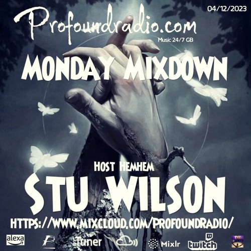 #64 Profound Radio  Melodic House & Techno @djstuwilson