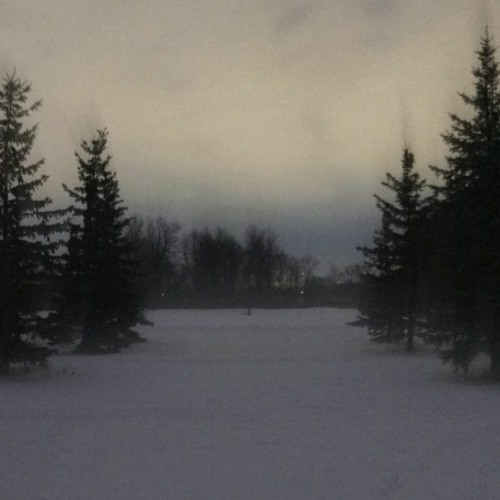 dltzk - champ [archived]