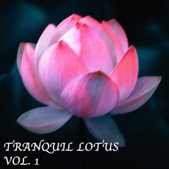 Waves of Tranquility