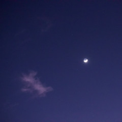 Harvest Moon