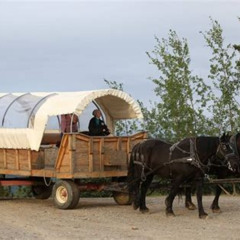 Best Horsedrawn Covered Wagon Ride With Backcountry Dining Tours Review