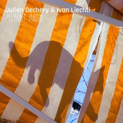 Julien Dechery & Ivan Liechti [02.05.25]
