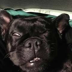 CAROLMIMANDIFUORIDITESTA.001