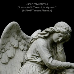 Joy Division - Love Will Tear Us Apart (KRAFTman Remix)