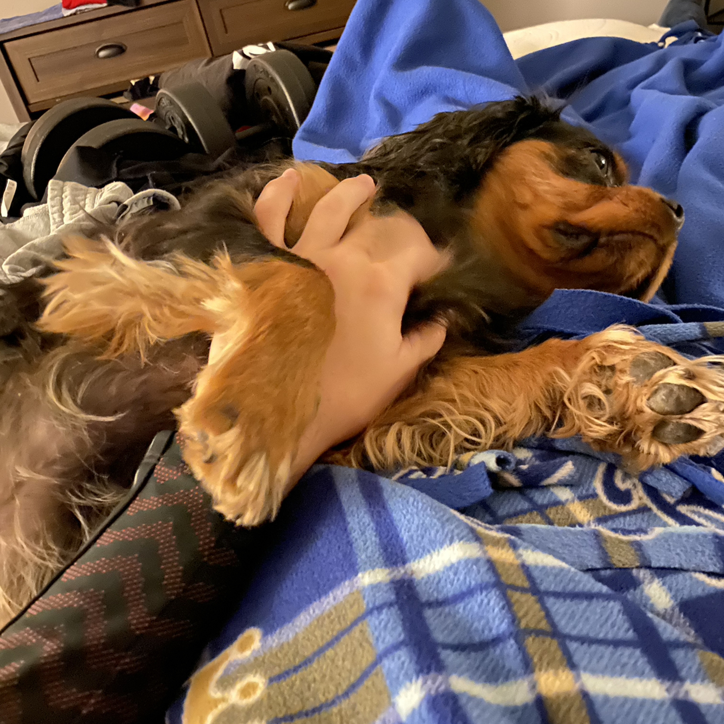 Burch\'s Audio Experience