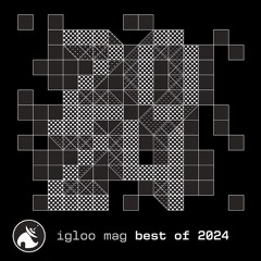 Igloo Magazine :: Best of 2024