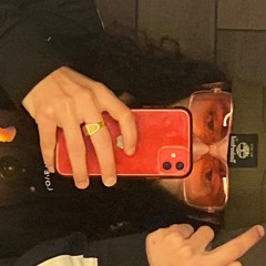 SOUNDSYSTEM BEGINNINGS