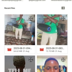 SOCIAL -B VIBES - travel from Niger to Ghana  2025-08-31 08_32.m4a