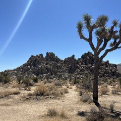 Angelus - Sassup Witcha *CHOPPED*