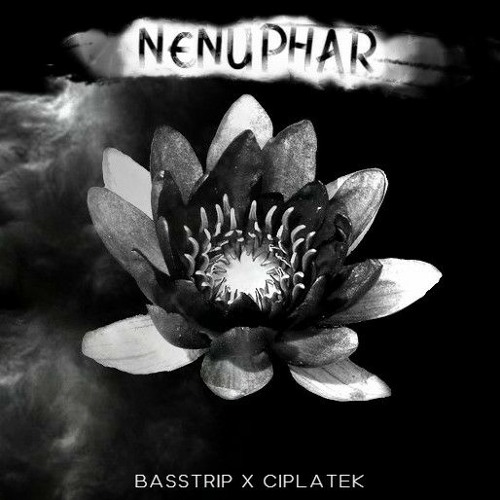 BassTrip x Ciplatek - Nénuphar