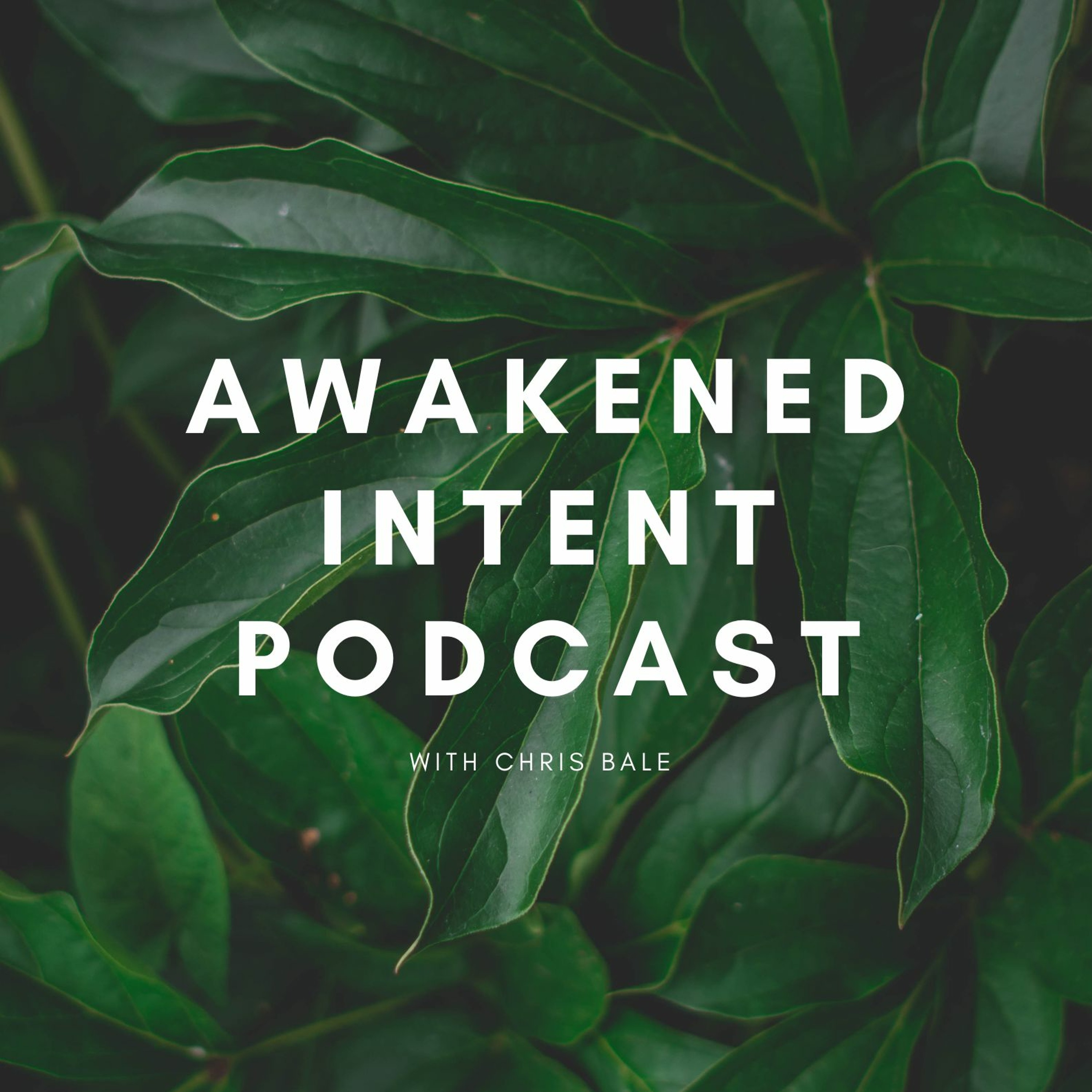 The Awakened Intent Podcast - Presence In Creativity, Connecting Deeper With Your Body