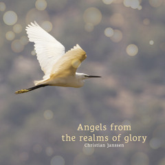 Angels from the realms of glory