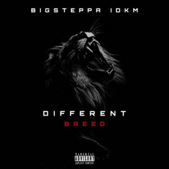 Different Breed (prod. gas shawty)