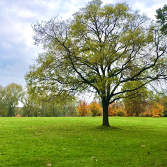 Life of My Own -3 Doors Down (cover ) ruga