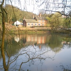 Love To Love You Again Demo