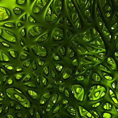 Chill/Organica/Deep House Mini Mix| naamkey