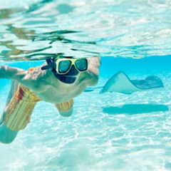 Review Special Price Gibbs Cay Stingray And Snorkel Adventure In Grand Turk