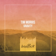 Tim Morris - Gravity (Original Mix Edit)