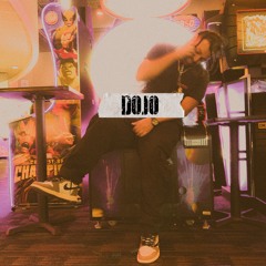 Dojo - Pink v2