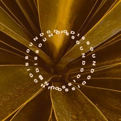 ODISSOUND PODCAST 19 / OCELO