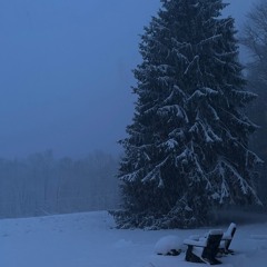 Closer [Produced by @Dozefy]