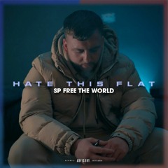 SP - Hate This Flat (prod. Makarov)