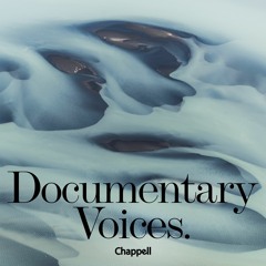 Documentary Voices